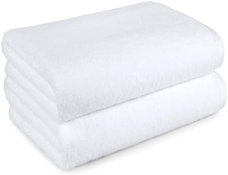 Amazon Basics 2 Piece Quick-Dry Oversize Bath Towel, 100% Cotton, Lake Blue, 54" x 30"